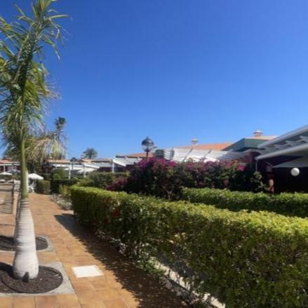 Bungalow Verdemar Maspalomas マスパロマス エクステリア 写真